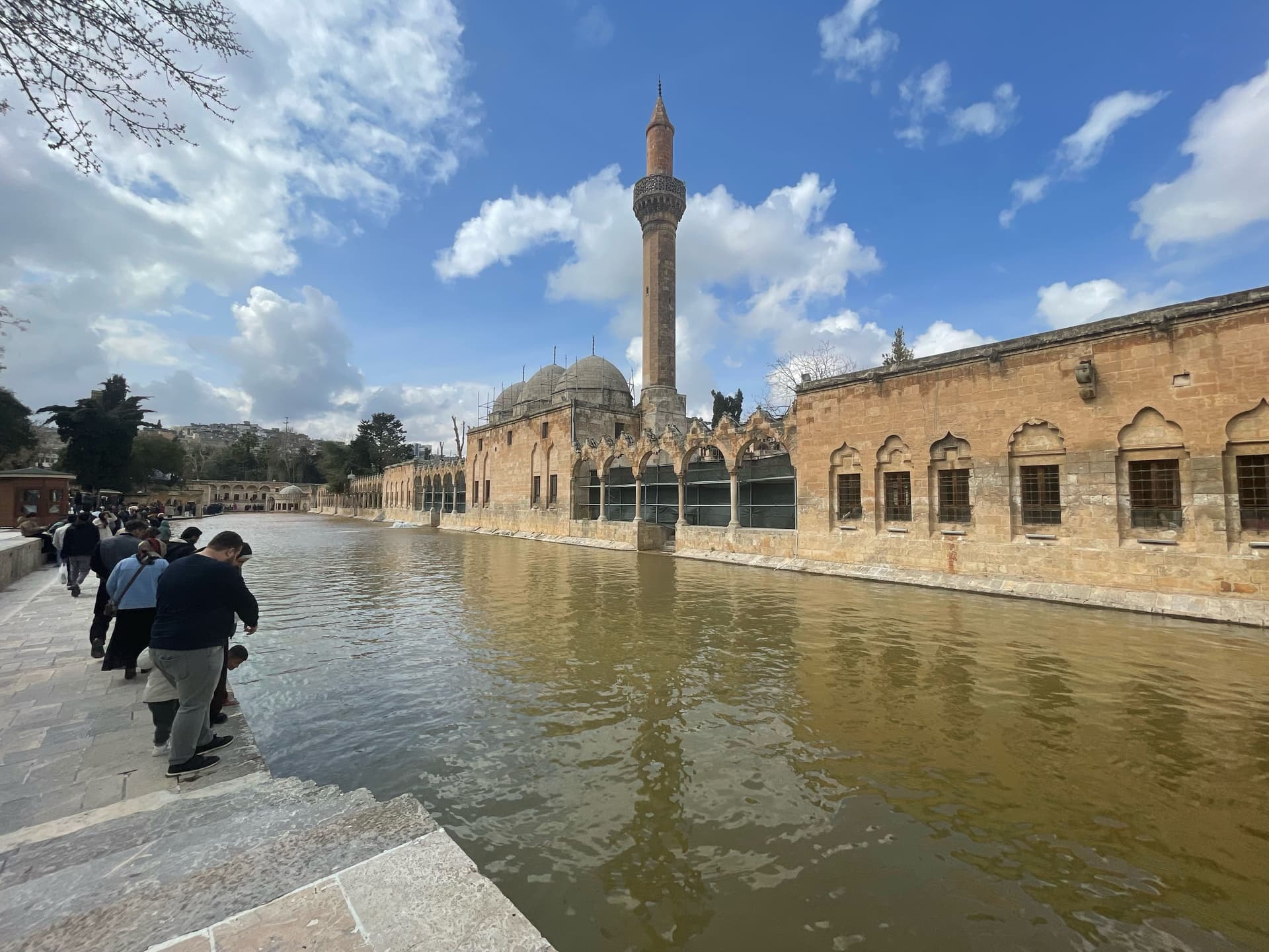Şanlıurfa'da sağanak! Balıklıgöl'ün suyu çamura döndü